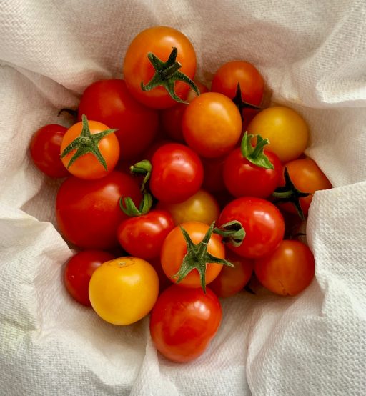 red tomatoes