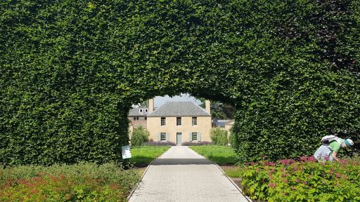 a person walking on a path surrounded by trees