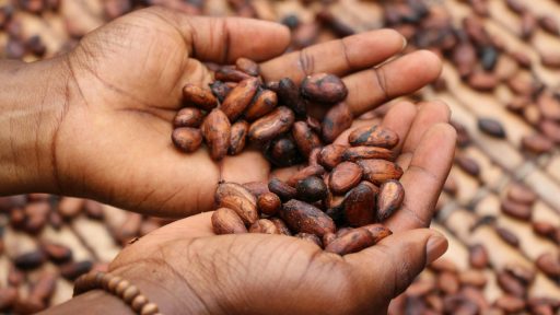 person holding brown and black seeds