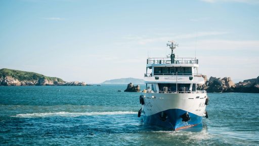 white and blue cruise ship on body of water during daytime
